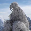 avatar Zaur.