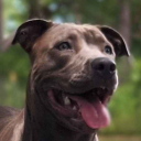 mykidsrockbest#0573's avatar