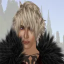 nadissalamander