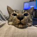 jinna1994#1355's avatar