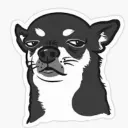 evil_chihuahua. avatar