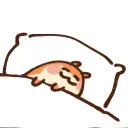 koyo.koyo_ avatar