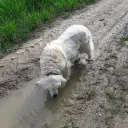 jacksparrow_0000007 avatar