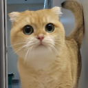 avatar BunnyFromMars