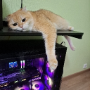 Discord Avatar