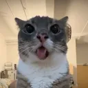 ihdcui