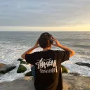 loganqvs
