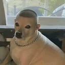 cornkiko