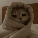 gbl__