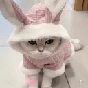 zero_idkot