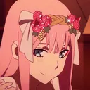 anav.dev