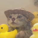 verunaswag