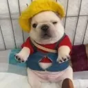 mataaaa_. avatar