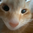 Gay Twink Femboys In Your Area