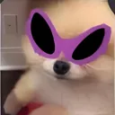 mungunfran