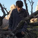kaivo