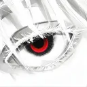 ceoscam