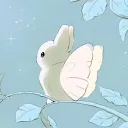 pockkyy