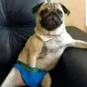 miquelonchas7