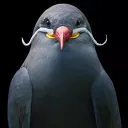 3bird3