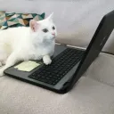rambip