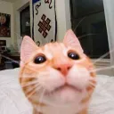 Аватар d0notcryy