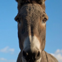 khld0771#6311's avatar