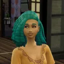 heikesims