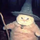 nykokiraj