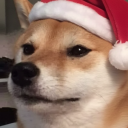 avatar groovy boi ᗜˬᗜ