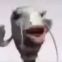 0trash