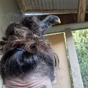 zeewooly