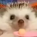 stwabewy