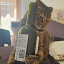 haziasjellegubundaskenyer