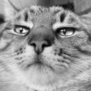 Аватарка gamestwolife