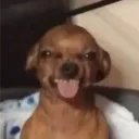 paaauljr