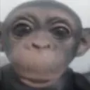 Аватар aboba_12431