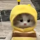 mantus00 avatar