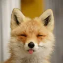 alilsoybeanappears