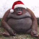 Аватар baha0977