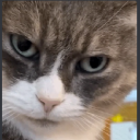 MS YT