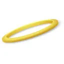 frecher_zeisig7002