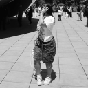avatar mel
