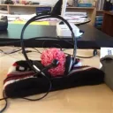 glitchdotx