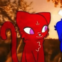 avatar ดาวเหนือ