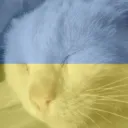 42quazi
