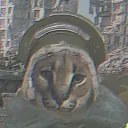 berlinz