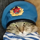 Discord Avatar