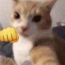 notnalini