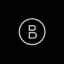 bitz_idk